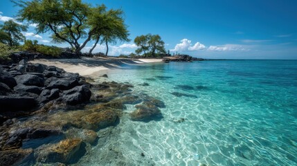 Obraz premium The tropical blue ocean of Hawaii is showcased with white sand and underwater stones, creating a serene ocean background.