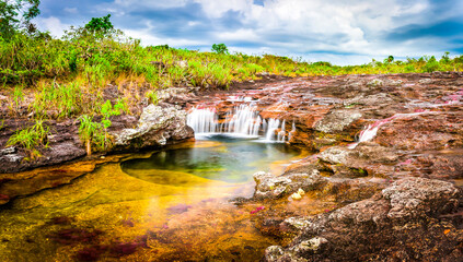 Caño Cristales: The River of Five Colors