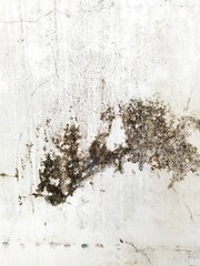 grunge wall background