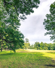 Large open field with trees in the background