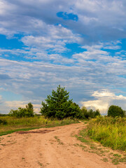Obraz premium A dirt road with a tree in the middle of it