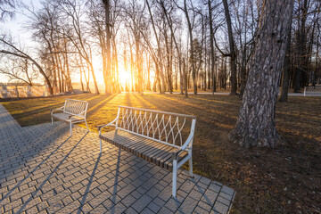 Naklejka premium A bench is sitting in a park with a tree behind it