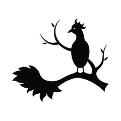  Kamanga on a branch on a white background