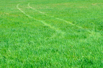 Green Grassy Field with Tire Track Marks