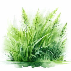 Fototapeta premium Namalowana trawa ilustracja