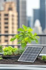 Fototapeta premium Solar panel with potted plant on rooftop garden, urban setting, greenery and technology