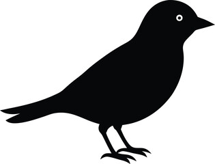 Obraz premium silhouette of a bird