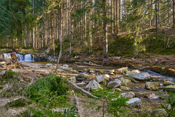 Leśny Wodospad, rzeka Kwisa, Karkonoski Park Narodowy © Zbigniew