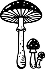 vector illustration of mushrooms