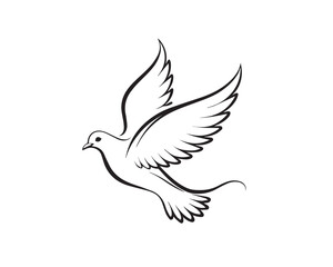 dove of peace, Dove Bird vector