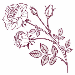 floral background with roses