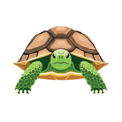 Obraz premium A Cute Cartoon Turtle Vector Illustration