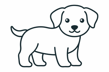 puppy in white background