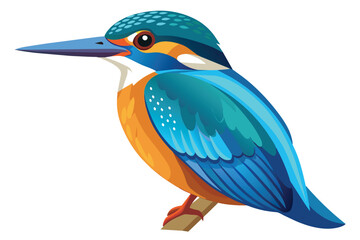 Obraz premium A vibrant illustration of a kingfisher bird with blue and orange plumage perched on a branch against a white background.