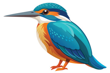 Obraz premium The artwork shows a colorful kingfisher bird in profile, with blue and orange plumage, against a white background. Its wings are folded.