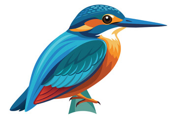 Fototapeta premium A vibrant illustration of a kingfisher perched on a branch, showcasing its bright blue, orange, and red plumage against a white background.