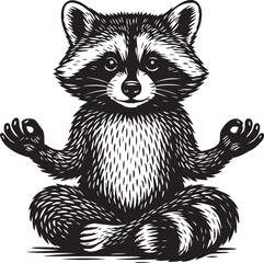 meditating raccoon