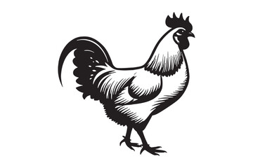 Rooster Silhouette Vector Farm Animal Illustration for Print and Design