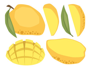 Vector isolated set of mangos, whole, half and slices