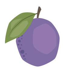 Vector isolated simple plum illustration