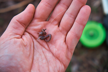 A fisherman baited an earthworm on a fishing hook near the river.