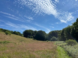 summer landscape with blue sky and clouds