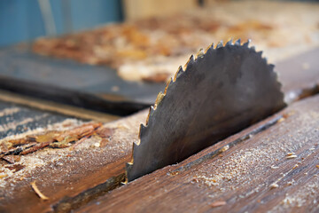 Circular table saw blade with carbide teeth, close-up photo with selective focus
