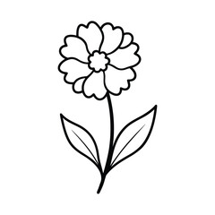lychnis flower line art vector art illustration
