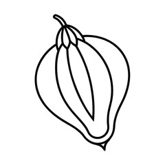 luffa flower line art vector art illustration
