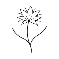 love in a mist flower line art vector art illustration