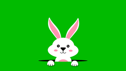 bunny out from Black hole illustration for easter holiday. white smiley bunny animation.