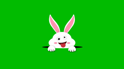 crazy expression and funny easter bunny looking out from black hole on green screen. happy easter holiday concept background.