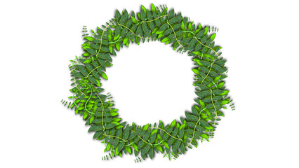 decorated circle with wild plant leaves on white background. concept for decoration and nature theme.