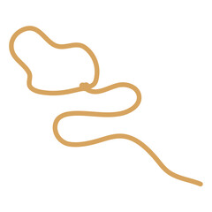 Lasso rope. Vector illustration.