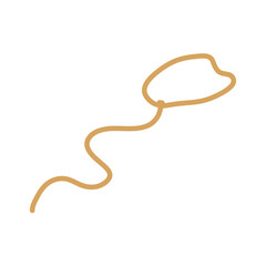 Lasso rope. Vector illustration.