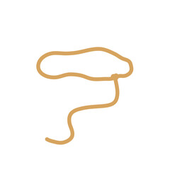 Lasso rope. Vector illustration.
