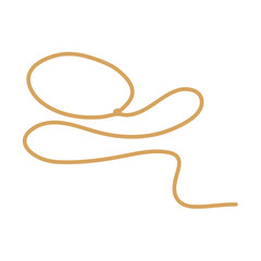 Lasso rope. Vector illustration.