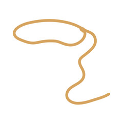 Lasso rope. Vector illustration.