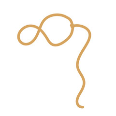 Lasso rope. Vector illustration.