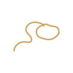 Lasso rope. Vector illustration.
