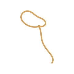 Lasso rope. Vector illustration.