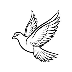 Dove Bird Line Sketch Vector Design

