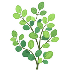Obraz premium Vibrant Leafy Branch: A fresh and lively illustration of a verdant, flourishing leafy branch, depicting the vitality of nature and the delicate beauty of flora.