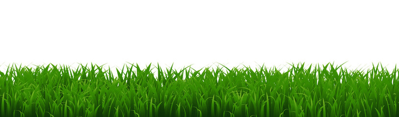 Obraz premium Green Grass Border Isolated White Background