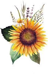 Watercolor sunflower bouquet. Hand drawn illustration