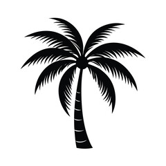 palm tree silhouette