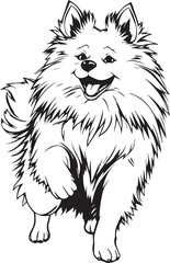German Spitz. Hand drawn vector illustration	