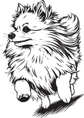 German Spitz. Hand drawn vector illustration	