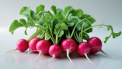 Small garden radish separated on white background