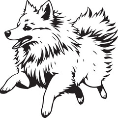German Spitz. Hand drawn vector illustration	